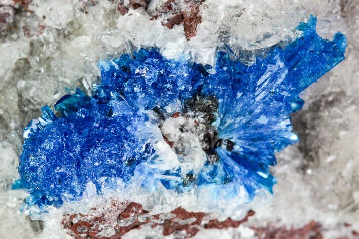 Vibrant Blue Cavansite on Stilbite - India #112214